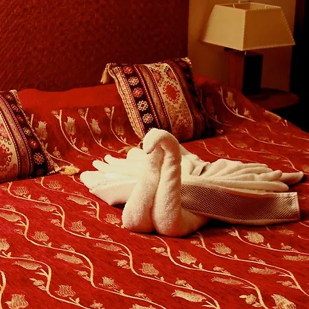 Couette-café Sunny Dom Boutique