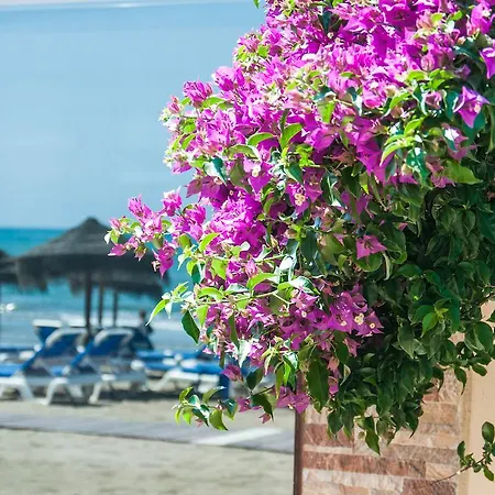 Alojamento de Acomodação e Pequeno-almoço Sunny Dom Boutique Marbella